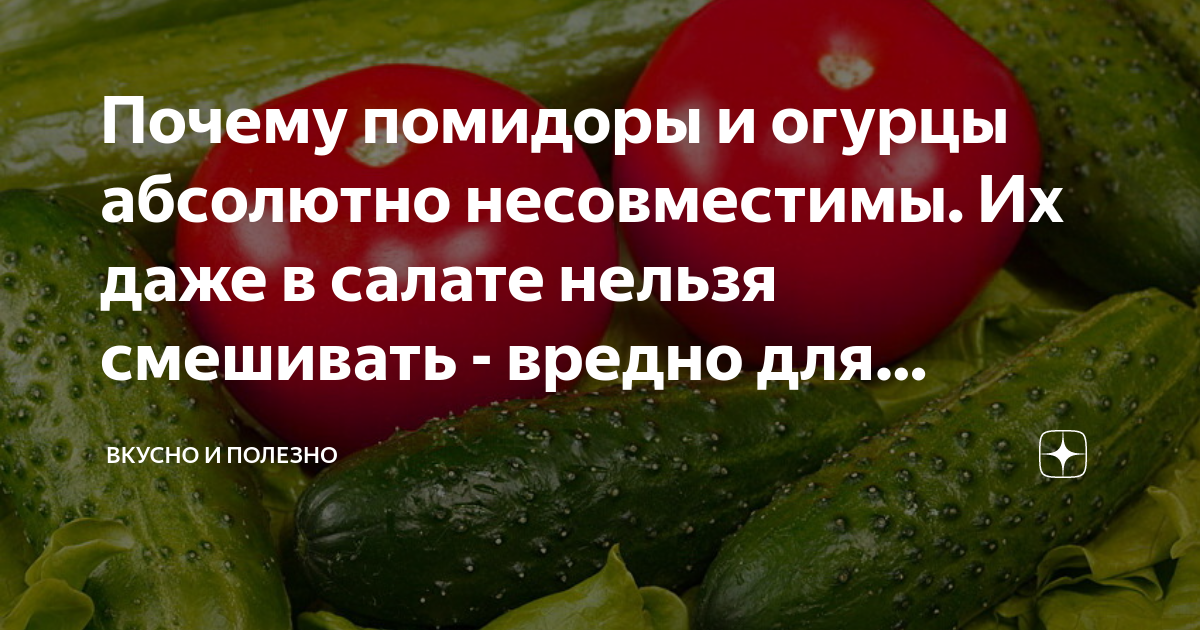 Огурцы и помидоры. Нельзя кушать огурцы и помидоры. Почему нельзя есть огурцы с помидорами вместе. Почему нельзя есть помидоры с огурцами. Огурцы свежие кормящей маме