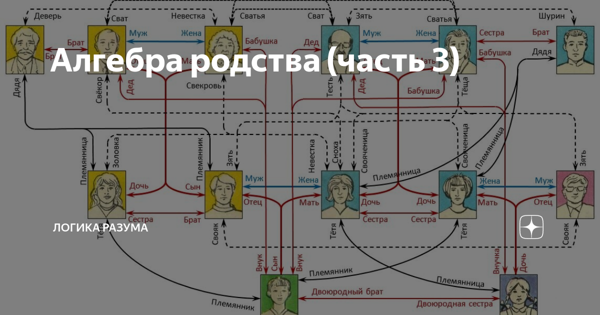 У брата жена кем приходится. Схема родственных связей. Арабская система родства. Двоюродная сестра мужа для жены. Кровное родство ветви.