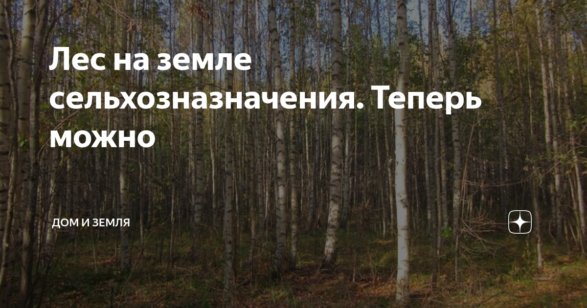 Деревья на земле сельхозназначения. Можно ли посадить лес на землях сельхозназначения. Копия уведомления о лесе на землях сельхозназначения. Цена на лес на землях сельхозназначения. Можно ли пилить лес на землях сельхозназначения.