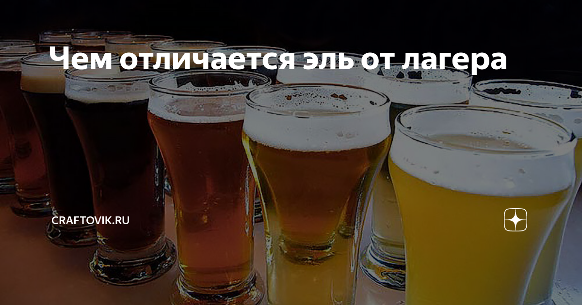 Чем отличается эль от лагера. Чем отличается эль от лагера