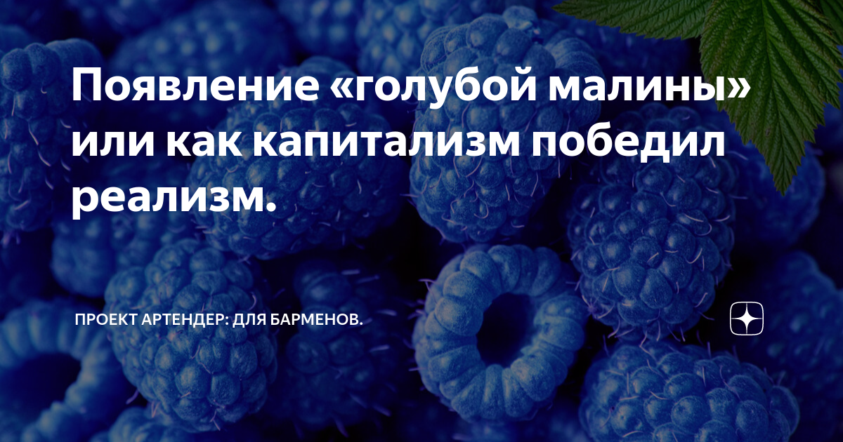 базиллион минск владислава голубка фото