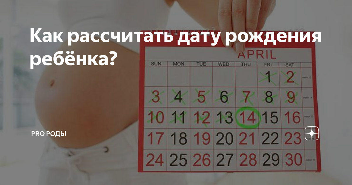 Как рассчитать дату рождения ребёнка? | PRO Роды | Дзен