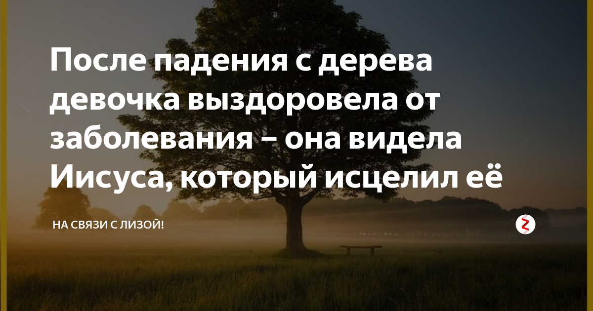 В Шумерле маленькую девочку придавили бревна — Советская Чувашия