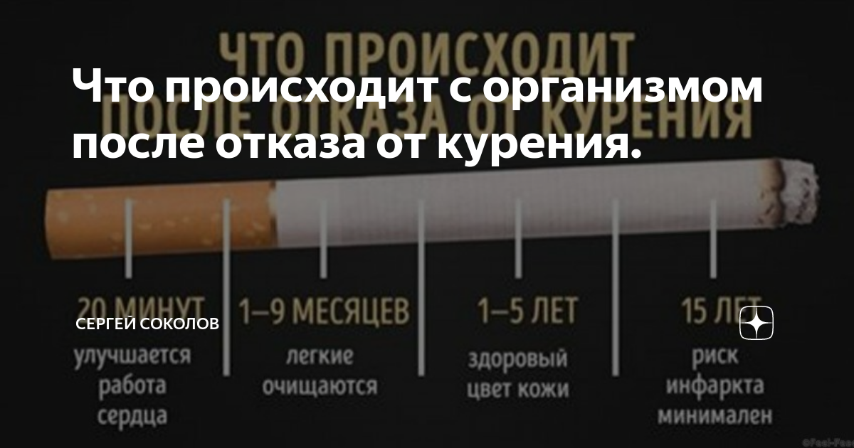 После отказа от курения. Человек бросает курить. Эффект бросания курения. Лёгкие после отказа от курения.