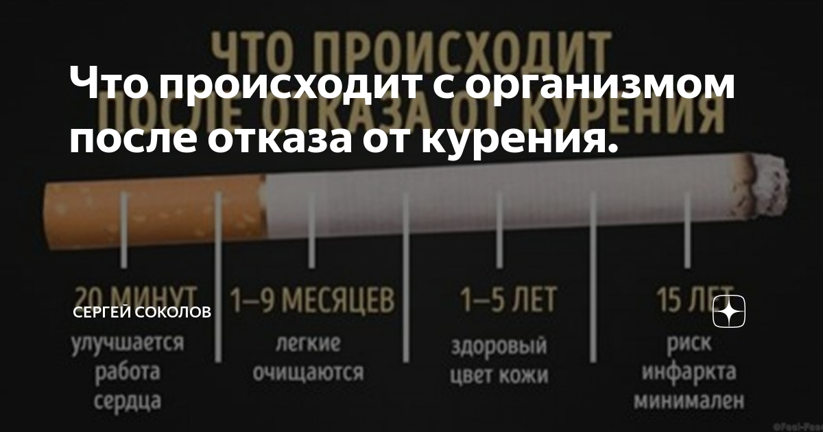 Что будет если резко бросить. После отказа от курения. Человек бросает курить. Эффект бросания курения. Лёгкие после отказа от курения.