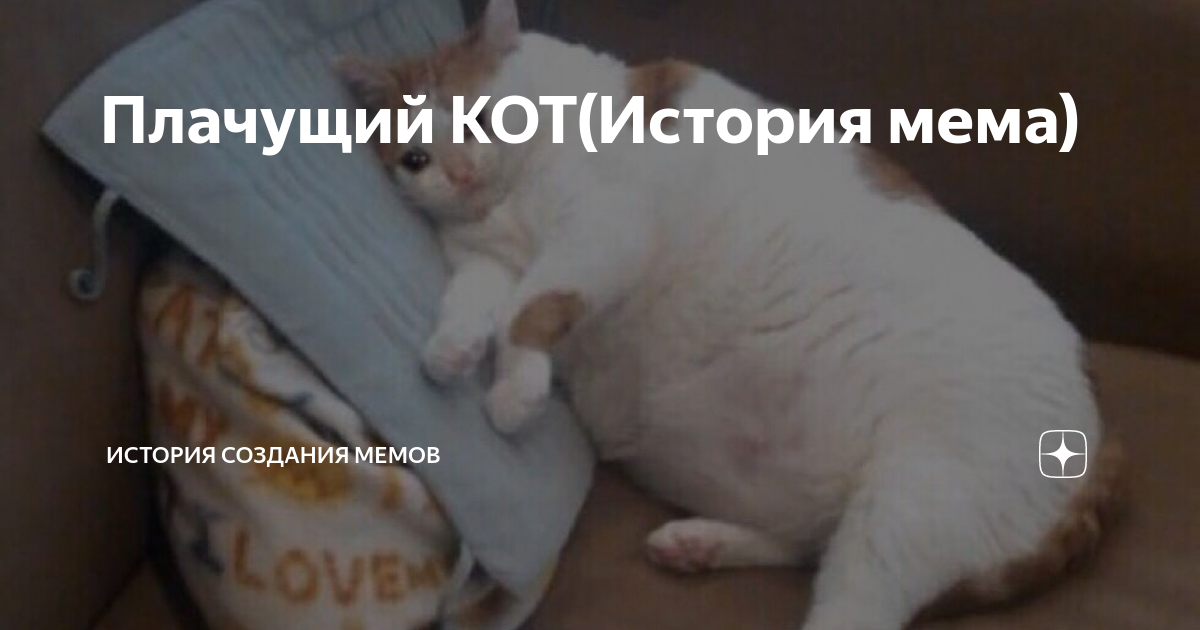 Пин на доске Шутки Котята, Мемы, Животные