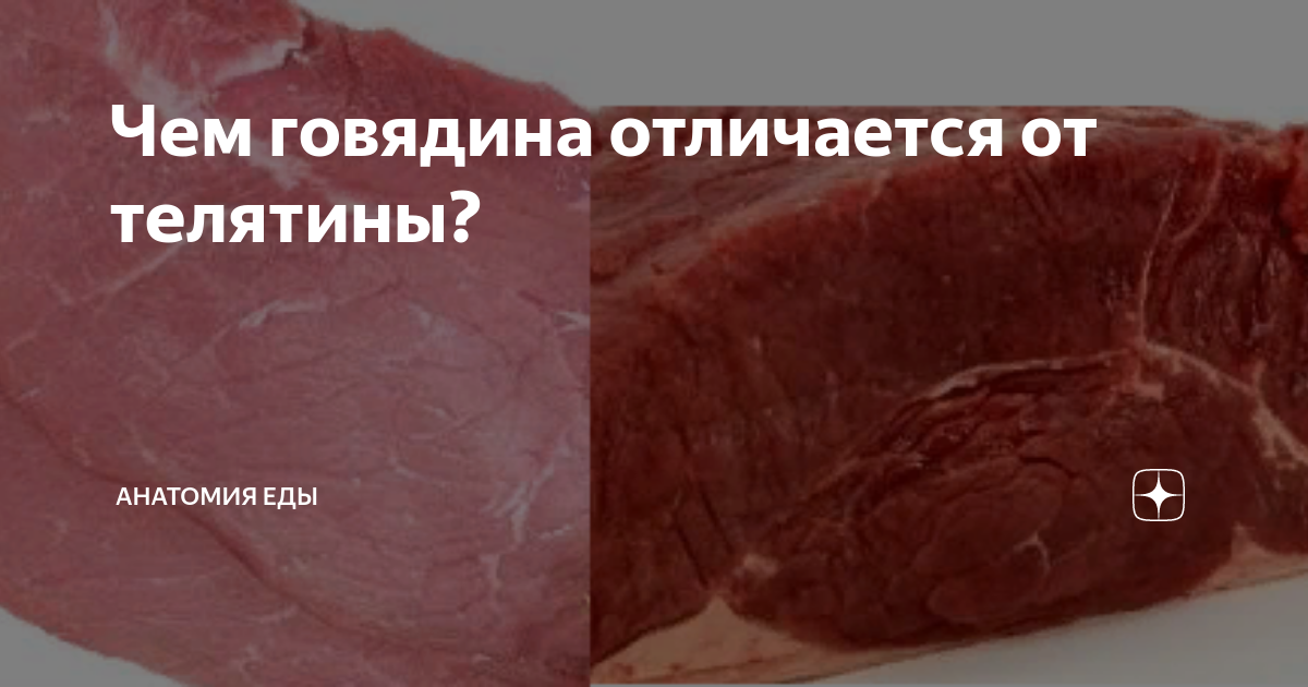 как отличить говядину от телятины. телятина и говядина в чем разница. как отличить говядину от телятины. отличие телятины от говядины. телятина и говядина разница.