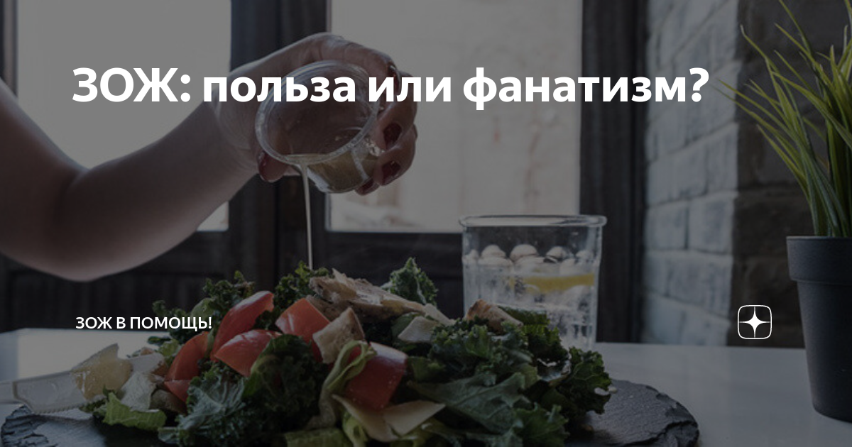 ЗОЖ: польза или фанатизм? Разбор одного из главных споров