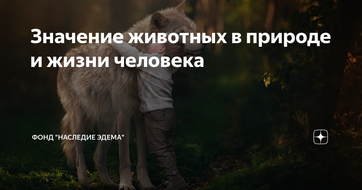Значение животных в природе и жизни человека | Кузбасский зооволонтер ...