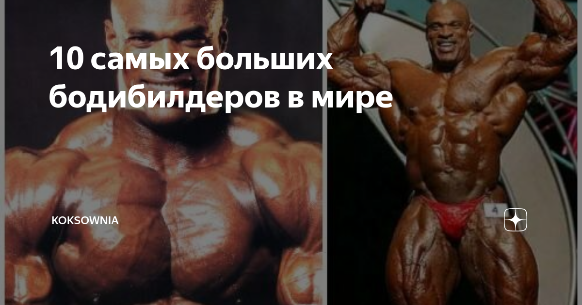 ������ ����� ���� �������: ����.