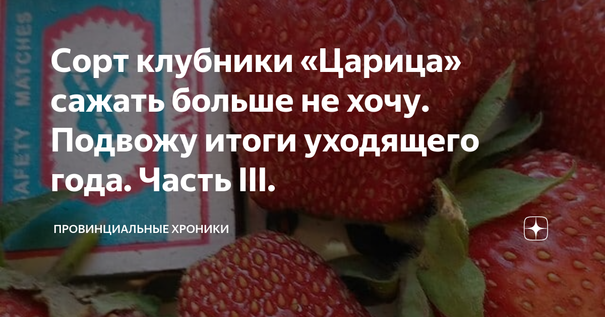 Сорт клубники «Царица» сажать больше не хочу. Подвожу итоги уходящего ...