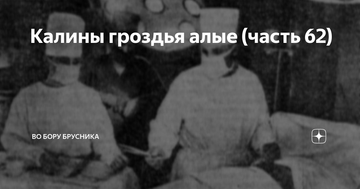 Калины гроздья алые (часть 62) | Во бору брусника | Дзен