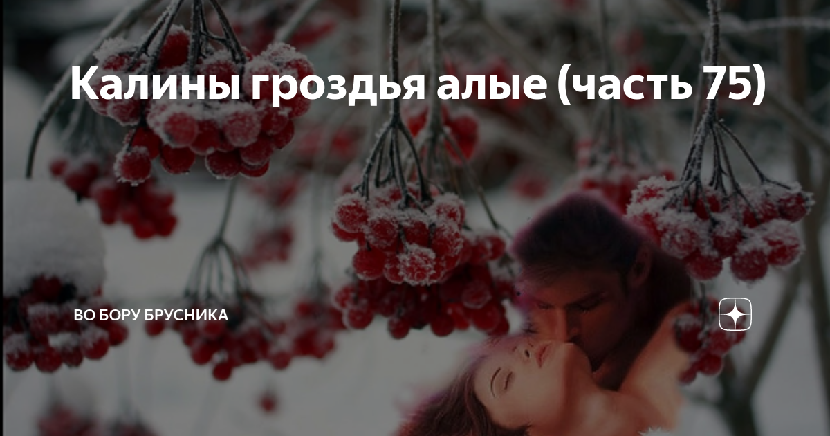 Калины гроздья алые рассказ