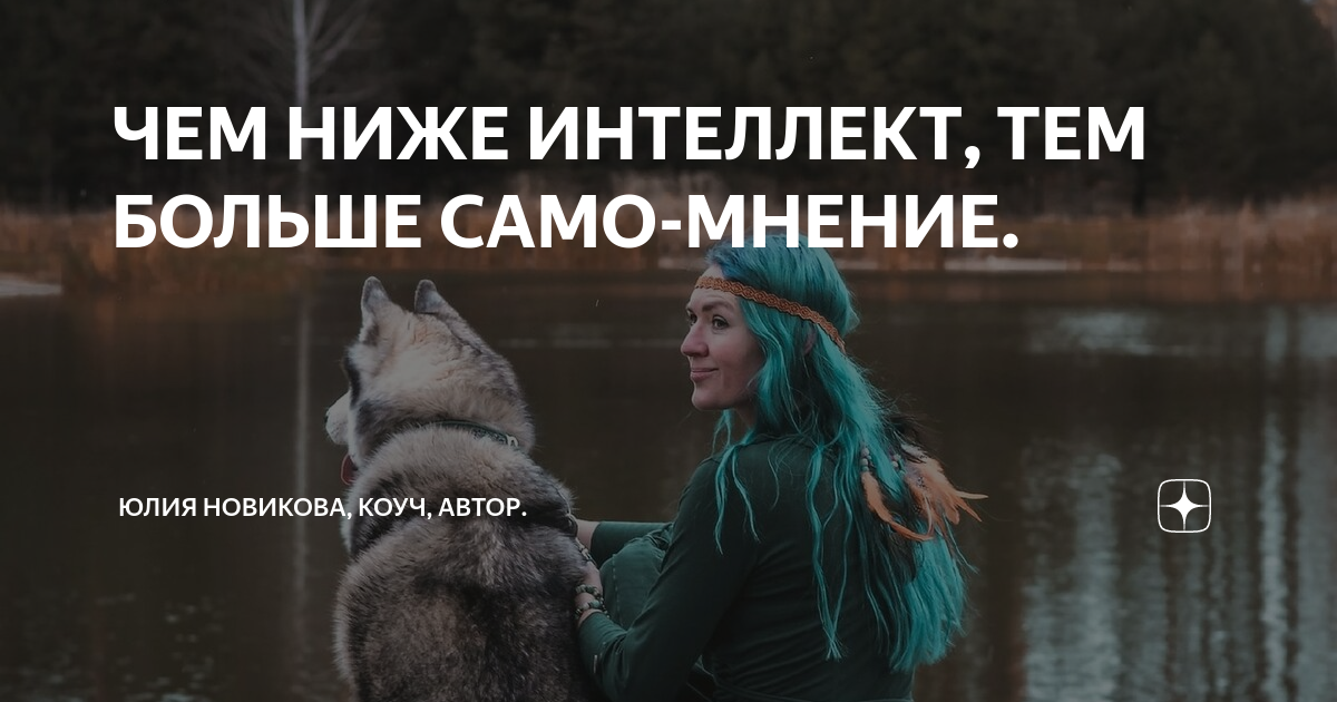 Чем ниже интеллект тем громче оскорбления