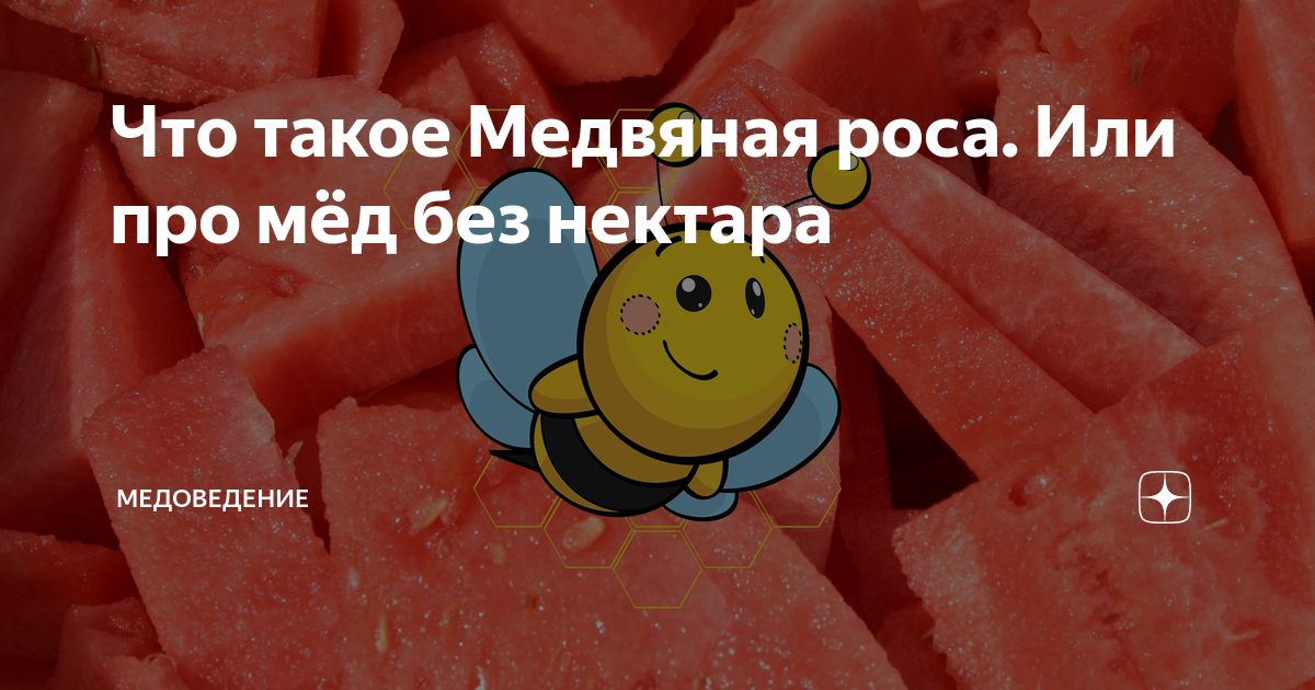 Что такое питье медвяное. Что такое питье медвяное