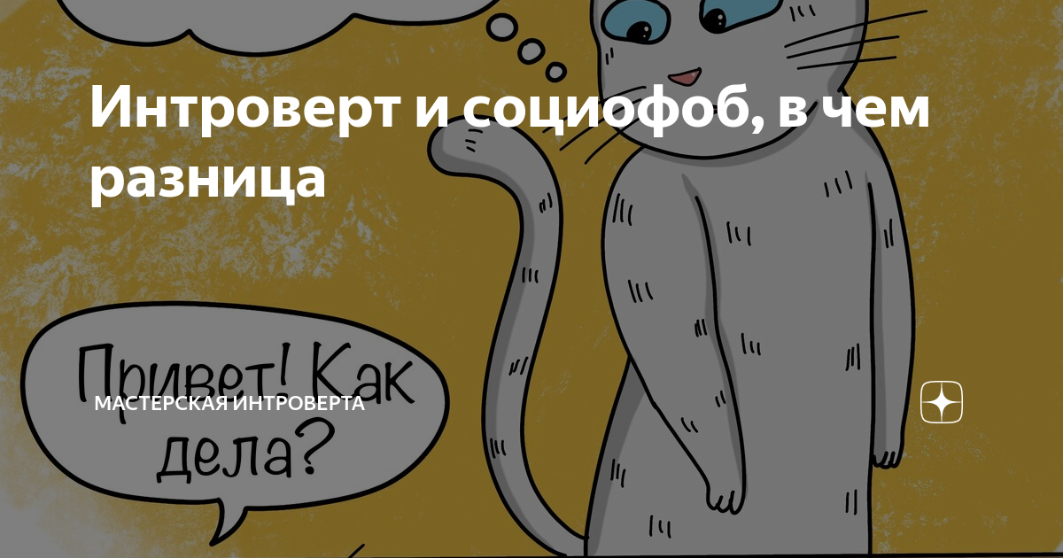 Девушка панда и кот барсик. Полкило конфеток тишина и кот счастье интроверта. Счастливый интроверт. Интроверт это человек который. Ежедневник интроверта идеальный вечер.