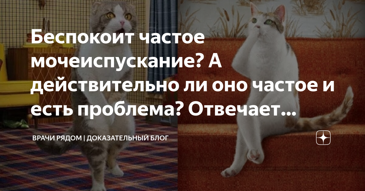 Беспокоит частое мочеиспускание? А действительно ли оно частое и есть ...