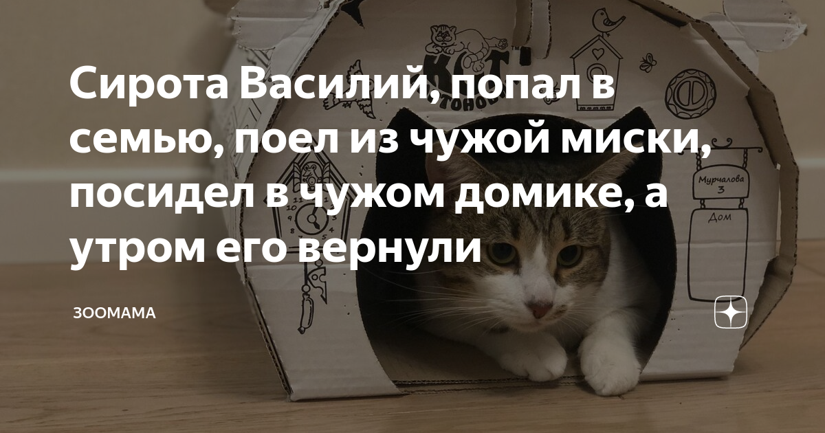 Танцуй для меня моя принцесса а я посижу напротив в кресле текст