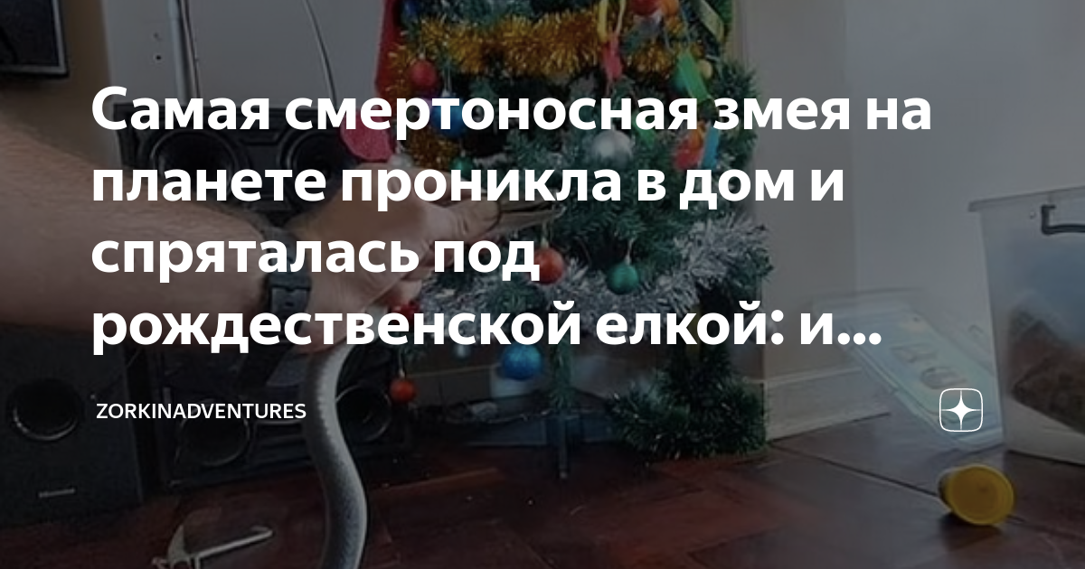 домашняя змея задушила хозяина