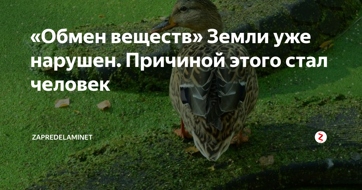 «Обмен веществ» Земли уже нарушен. Причиной этого стал человек ...