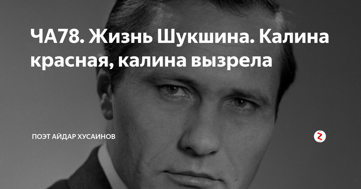 Бумер калина красная шукшина