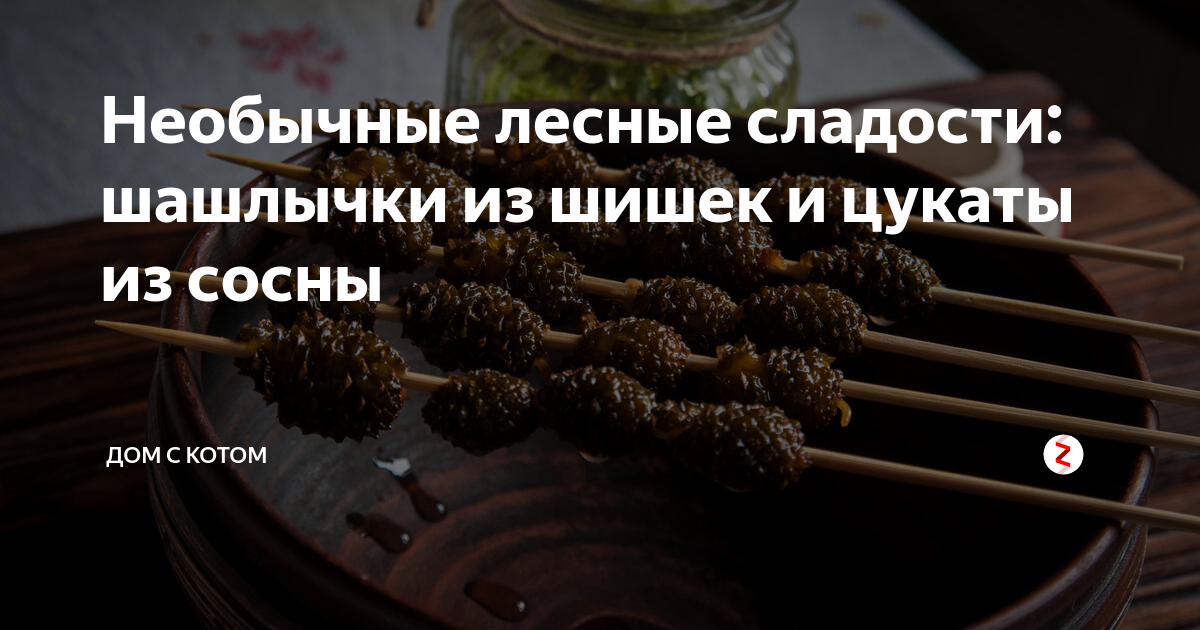 Необычные лесные сладости: шашлычки из шишек и цукаты из сосны | Дом с ...