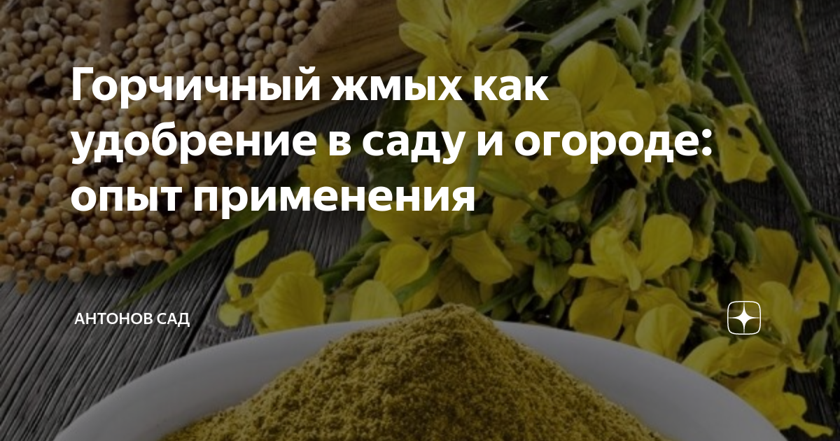 Горчичный жмых при посадке картофеля