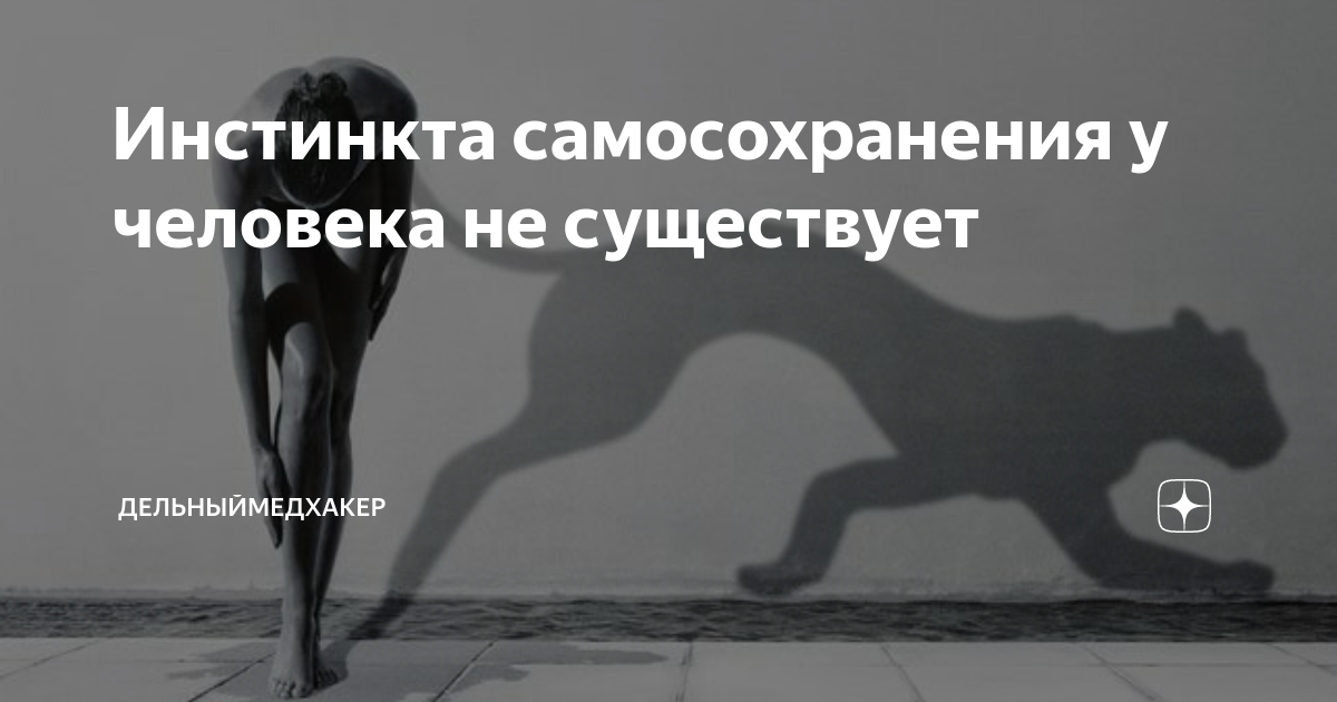 Самосохранение картинки для презентации