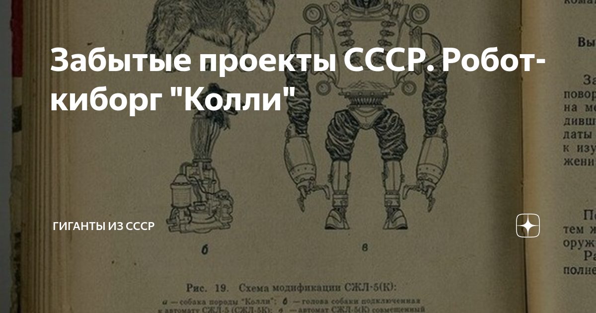 Проект ссср собака киборг