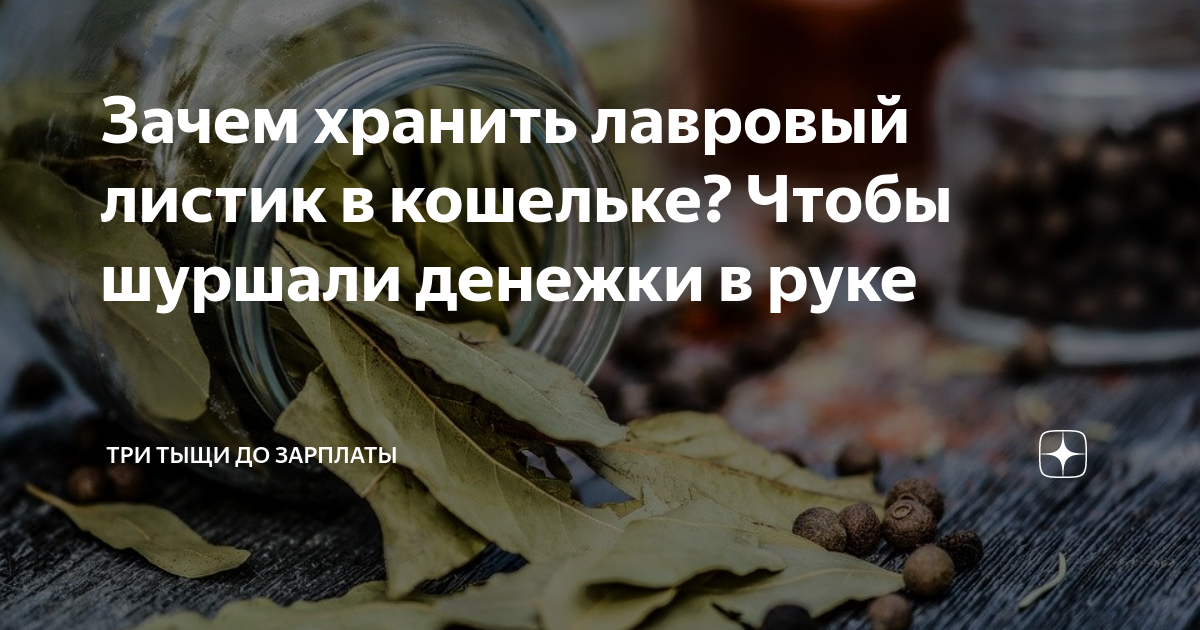Лавровый лист для денег в кошелек. Кладет в кошелек лавровый лист. Лавровый лист свежий. Лавровый лист в кошельке. Лаврушка в кошельке для привлечения денег.