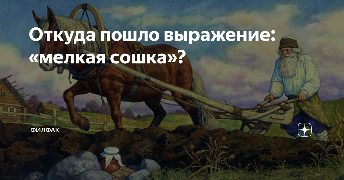 Откуда пошел новый. Мелкая сошка. Мелкая сошка значение фразеологизма. Мелкая сошка фразеологизм. Мелкая сошка этимология.