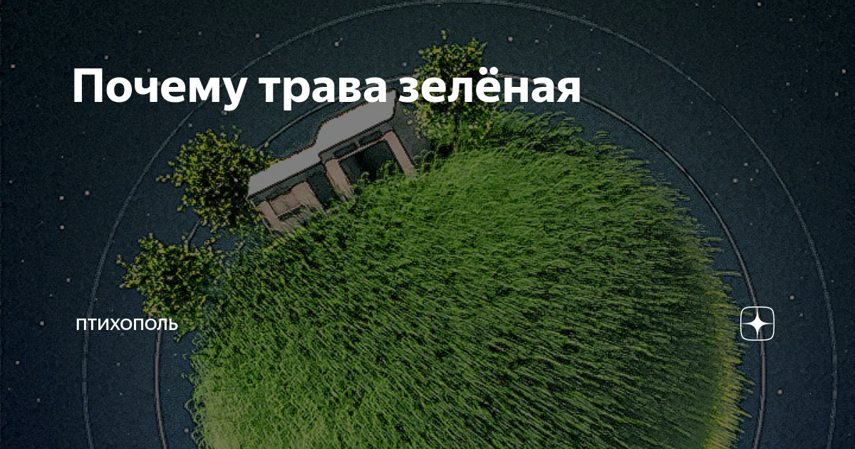 Почему трава зеленая