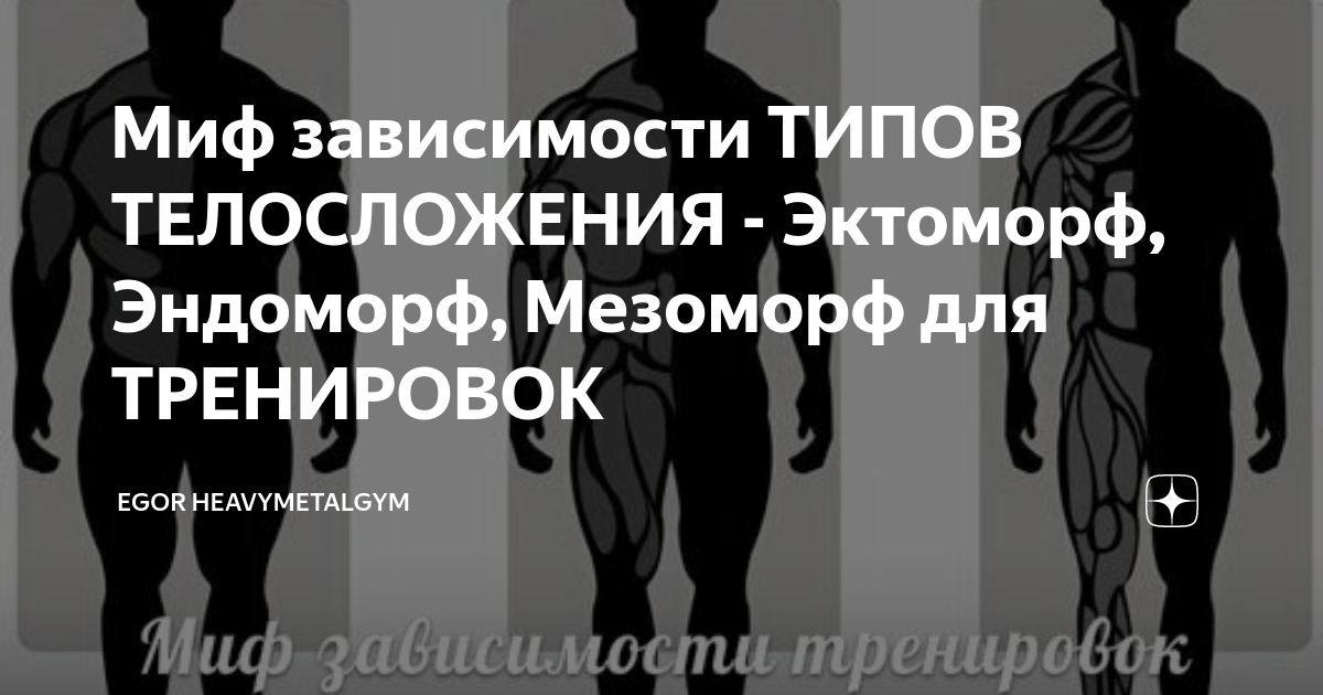 Эктоморф тренировки для набора мышечной. Тренировка для мезоморфа. Питание и тренировки для эндоморфа. Мезоморф питание и тренировки. Чистый эктоморф.