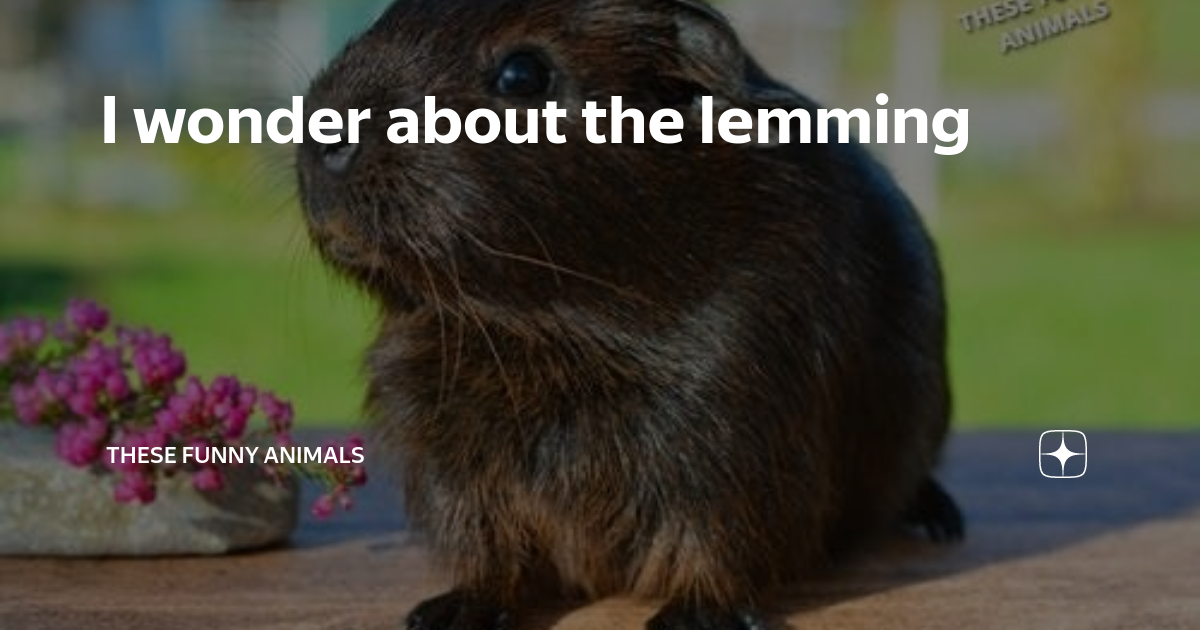 Synapsida: The Curiosity of Lemmings