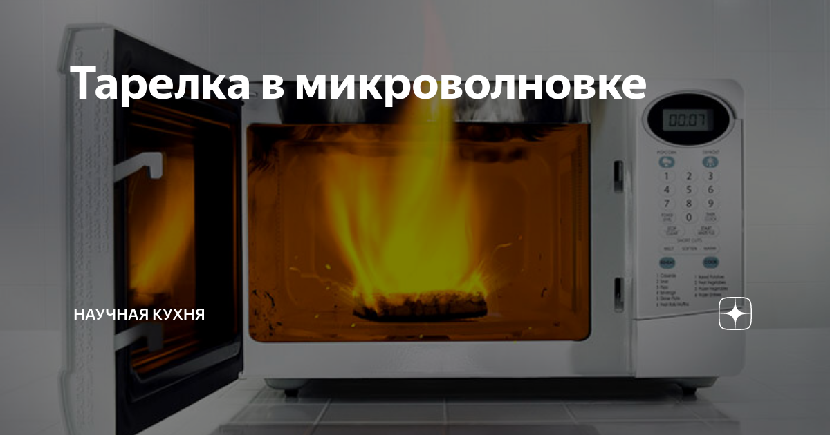 Тарелка в микроволновке | научная кухня | Дзен