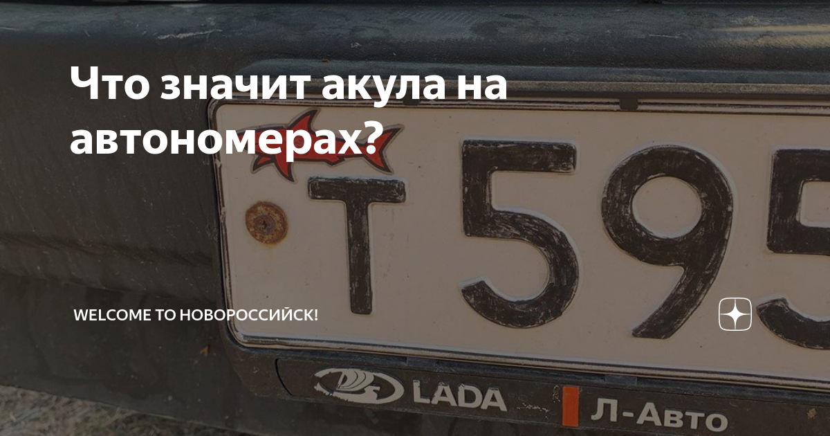 Акула на номере автомобиля что. Акула номерного знака. акула на номере автомобиля. акула на гос номере. акула на номер авто.