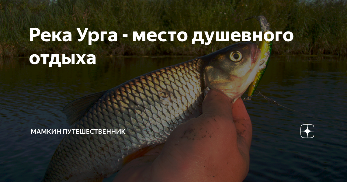 Река Урга - место душевного отдыха | Мамкин путешественник | Дзен