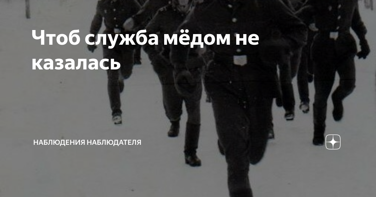 Чтобы жизнь медом не казалась. Чтоб служба медом не казалась. чтоб жизнь медом не казалась цитаты. чтоб служба мёдом не казалась купить.
