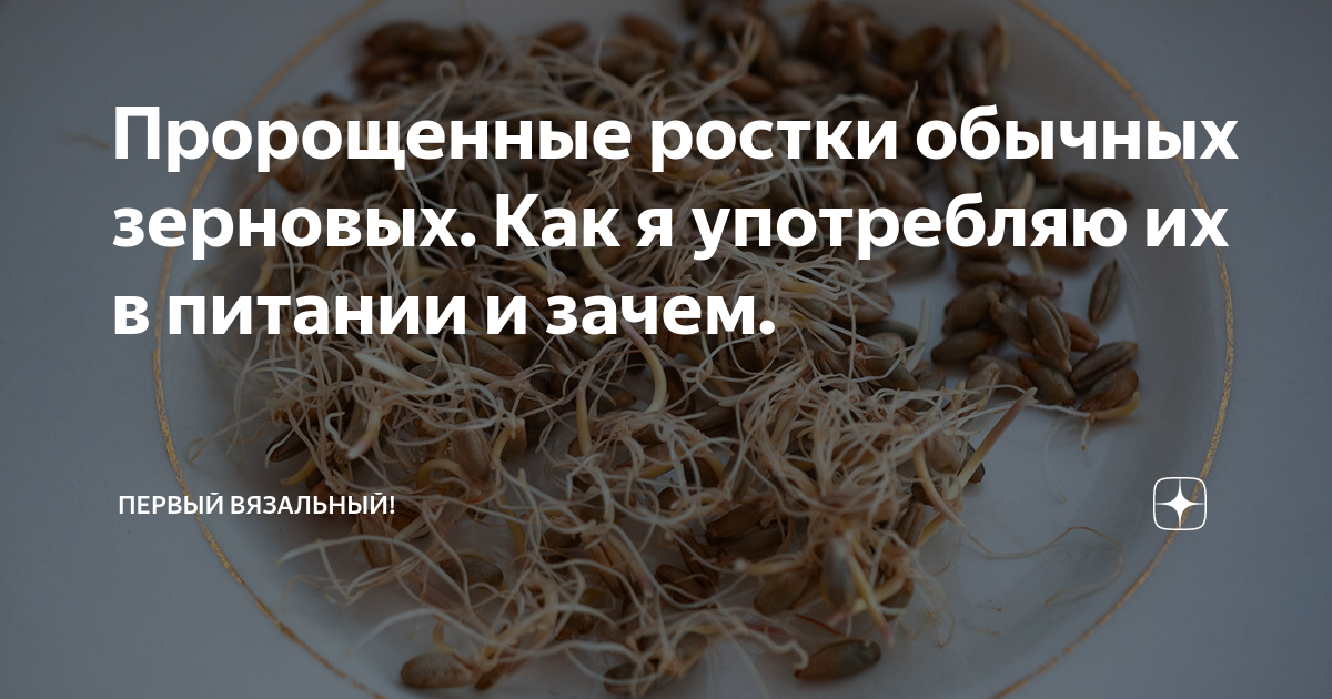 Пророщенные ростки обычных зерновых. Как я употребляю их в питании и ...