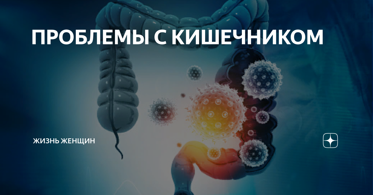 Органы пищеварения курильщика. Жизнь кишечно. Жизнь кишечно. Органы жкт. Жизнь кишечно.