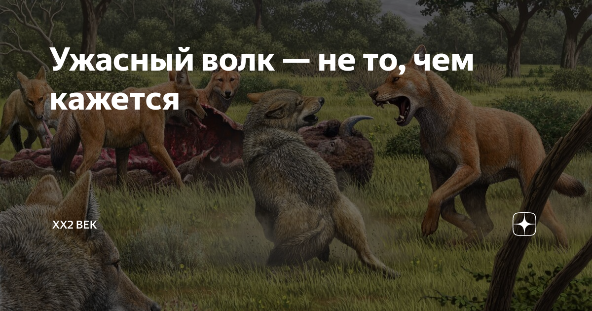 Ужасный волк — не то, чем кажется | XX2 ВЕК | Дзен