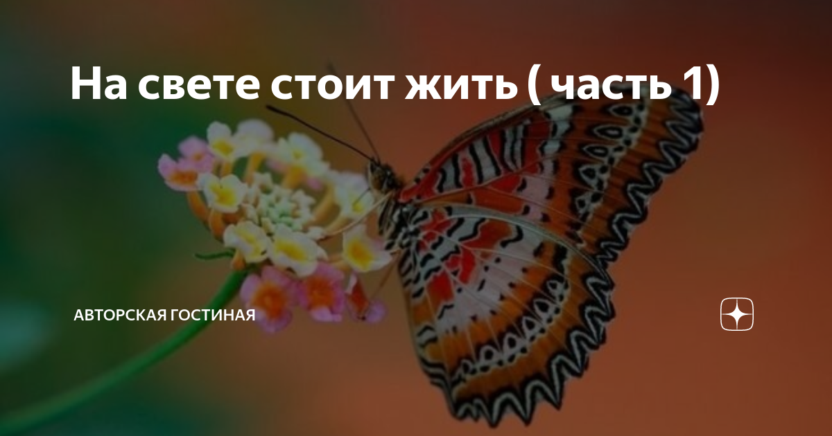 На свете стоит жить ( часть 1) | Авторская гостиная | Дзен