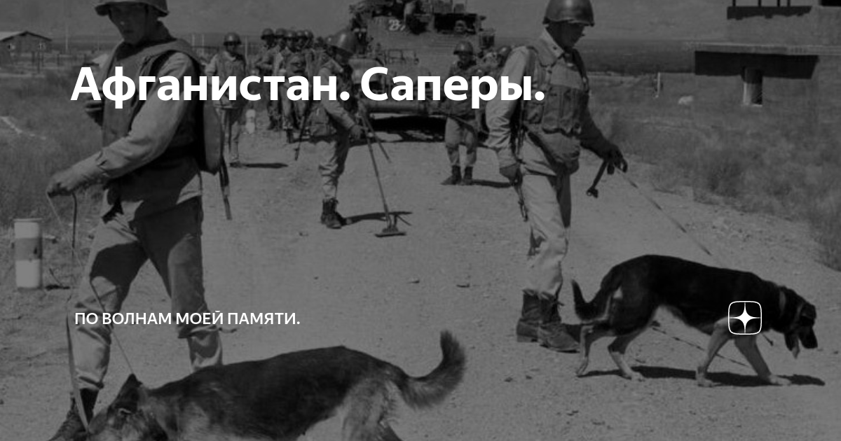 Афганистан. Саперы. | По волнам моей памяти. | Дзен