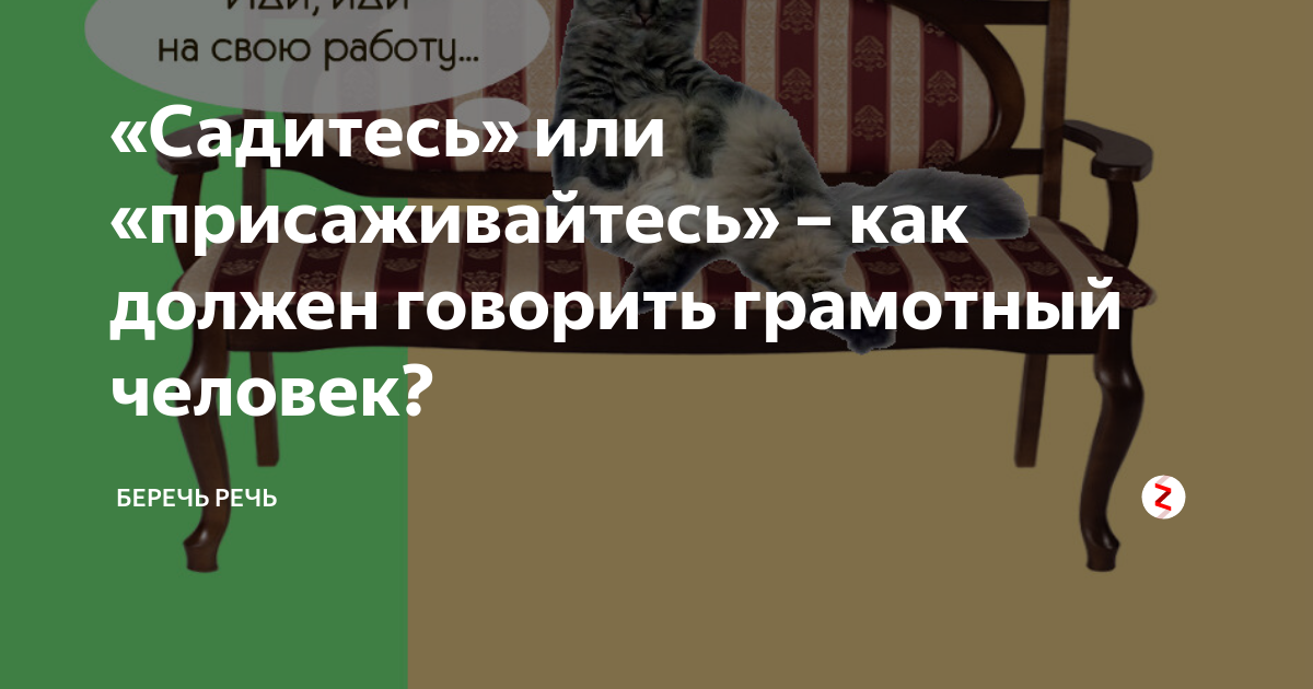 Присаживайтесь или садитесь как правильно. Правильно говорить садитесь или присаживайтесь. Как правильно сказать садитесь или присаживайтесь. Как правильно сказать садитесь или присядьте. Сесть или присесть как правильно сказать