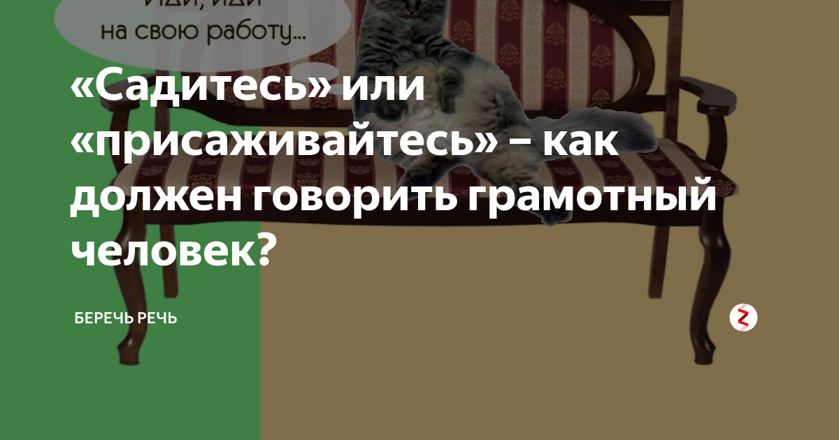 Как правильно сказать садись или сядь. Правильно говорить садитесь или присаживайтесь. Как правильно сказать садитесь или присаживайтесь. Как правильно сказать садитесь или присядьте. Сесть или присесть как правильно сказать.