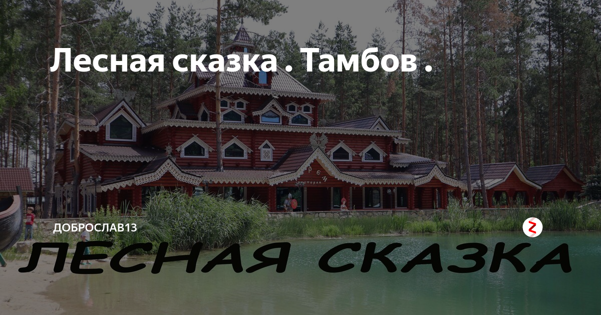 Модная сказка тамбов. Лесная сказка Тамбов. Лесная сказка Тамбов еноты.