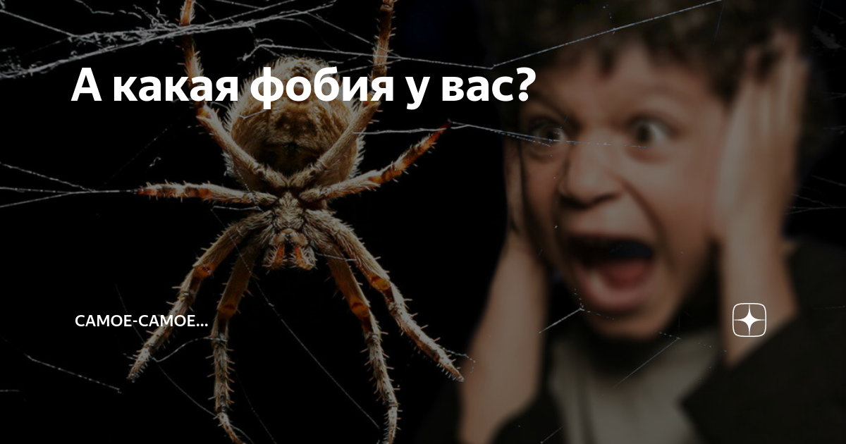 Как называется фобия времени. Как называется фобия времени