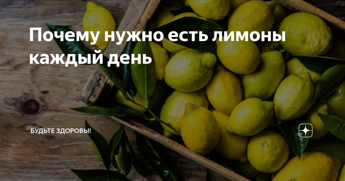 Ем лимоны каждый день. Бывают ли маленькие лимоны. Лимонный сок от давления. Полезна ли кожура лимона. Битва за лимон.