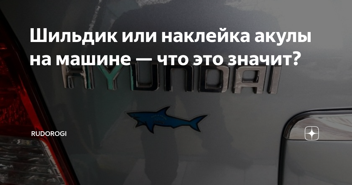 Шильдик или наклейка акулы на машине — что это значит? | RuDorogi | Дзен