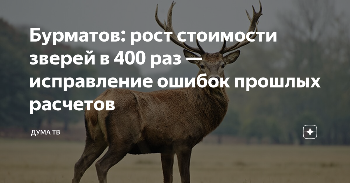 В раз исправим. В раз исправим
